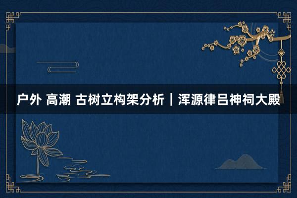 户外 高潮 古树立构架分析｜浑源律吕神祠大殿