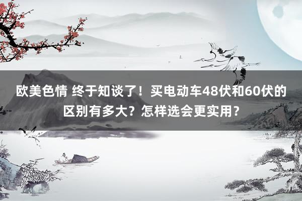 欧美色情 终于知谈了！买电动车48伏和60伏的区别有多大？怎样选会更实用？