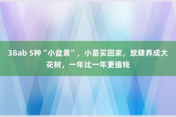 38ab 5种“小盆景”，小苗买回家，放肆养成大花树，一年比一年更值钱