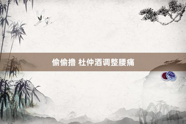 偷偷撸 杜仲酒调整腰痛